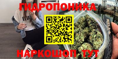амф Нальчик