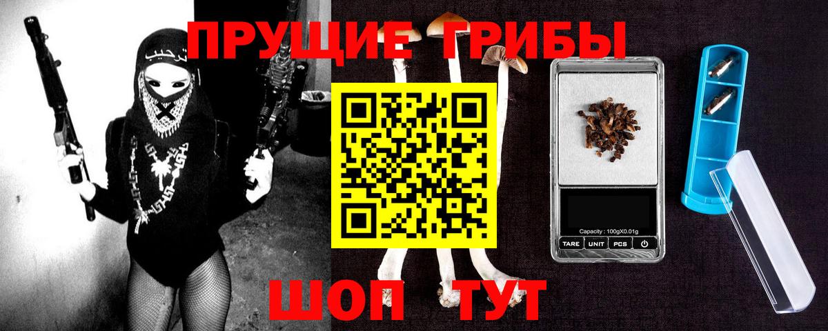 Галлюциногенные грибы Cubensis  Вход с VPN  где купить наркотик  Якутск 